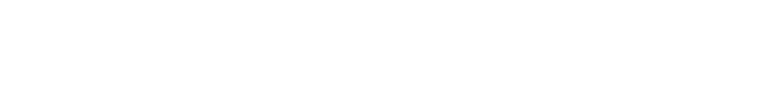Brooklyn Indie Band